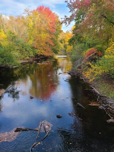 Beaver Brook Farm - Dracut, MA