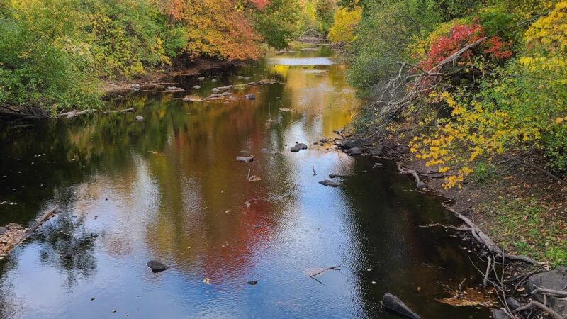 Beaver Brook Farm - Dracut, MA