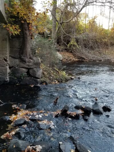 Beaver Brook Farm - Dracut, MA