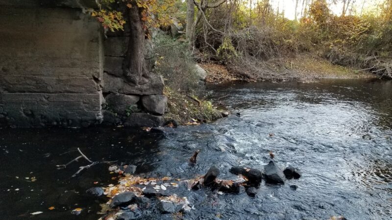 Beaver Brook Farm - Dracut, MA