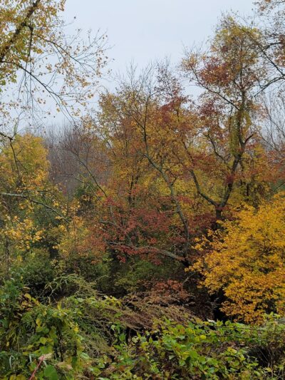 Beaver Brook Farm - Dracut, MA