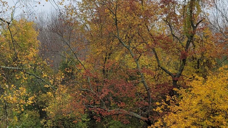 Beaver Brook Farm - Dracut, MA