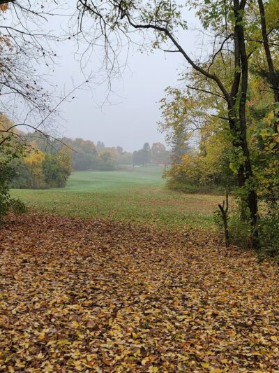 Beaver Brook Farm - Dracut, MA