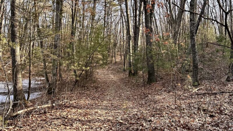 Cross Road Trail - Dracut, MA