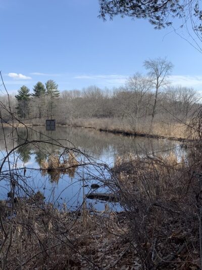 Cross Road Trail - Dracut, MA