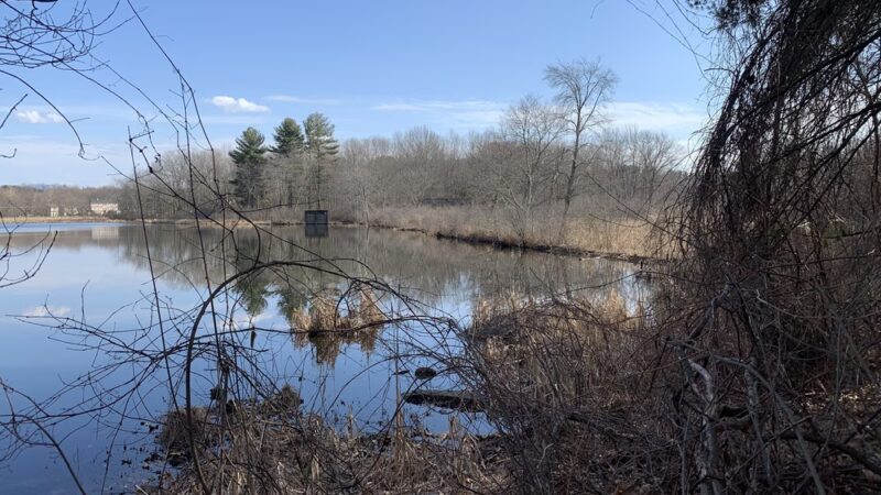 Cross Road Trail - Dracut, MA