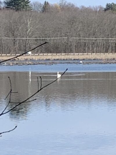 Cross Road Trail - Dracut, MA