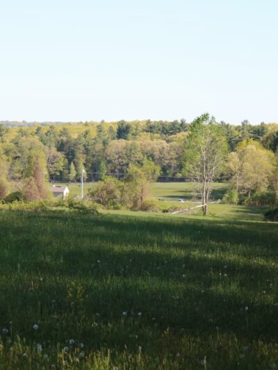 Dracut Land Trust Tranquility Trail - Dracut, MA
