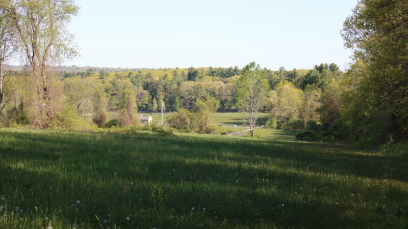 Dracut Land Trust Tranquility Trail - Dracut, MA