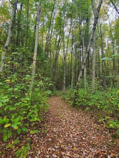Dracut Land Trust Tranquility Trail - Dracut, MA
