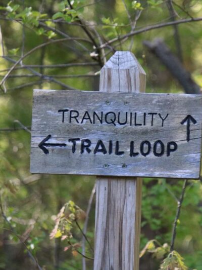 Dracut Land Trust Tranquility Trail - Dracut, MA