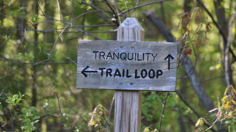 Dracut Land Trust Tranquility Trail - Dracut, MA