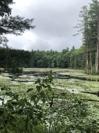 Dunlap Sanctuary - Dracut, MA