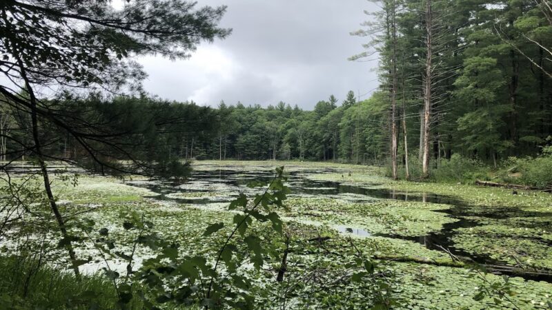 Dunlap Sanctuary - Dracut, MA