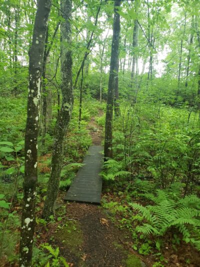 Dunlap Sanctuary - Dracut, MA