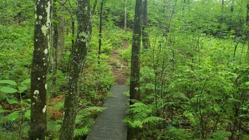 Dunlap Sanctuary - Dracut, MA