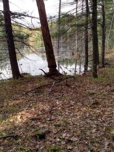 Dunlap Sanctuary - Dracut, MA