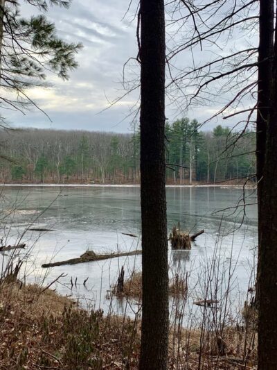 East Richardson Preserve - Dracut, MA