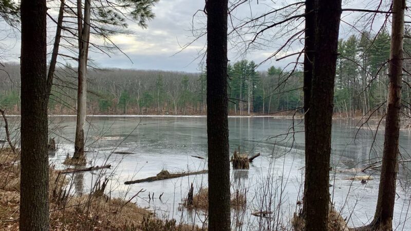 East Richardson Preserve - Dracut, MA