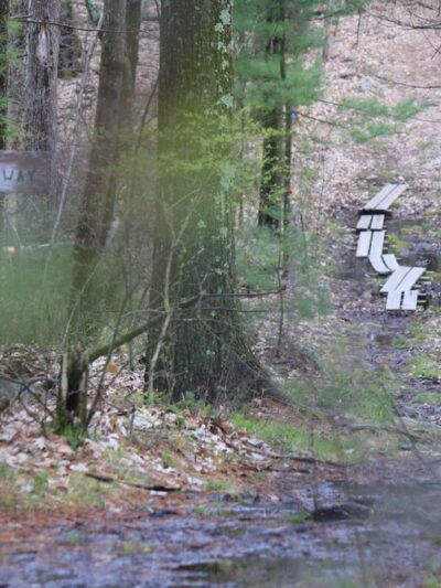 East Richardson Preserve - Dracut, MA