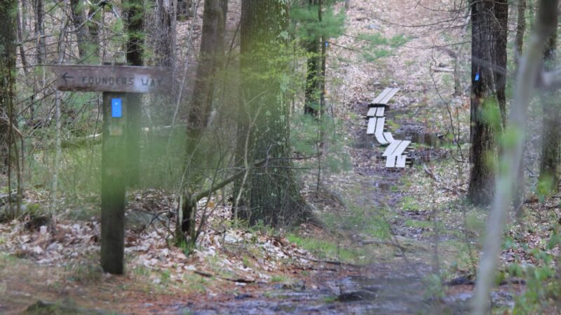 East Richardson Preserve - Dracut, MA
