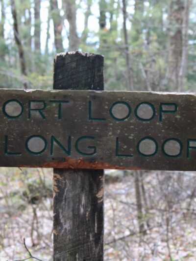 East Richardson Preserve - Dracut, MA