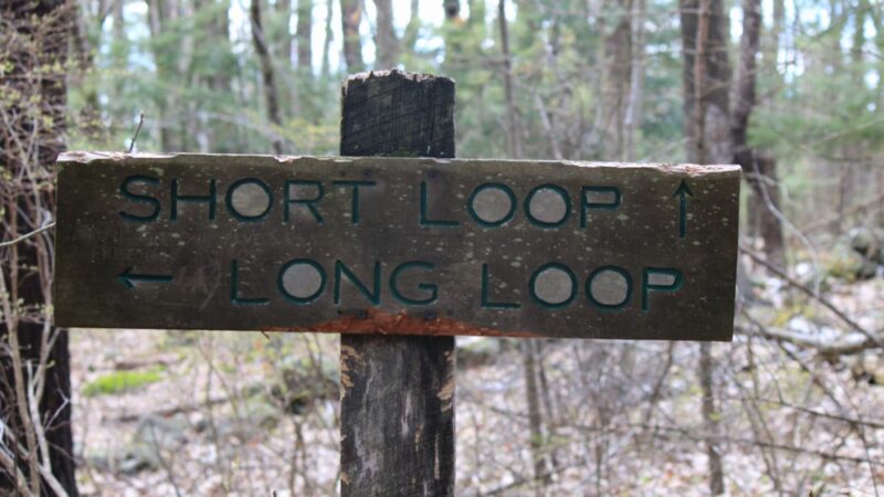 East Richardson Preserve - Dracut, MA