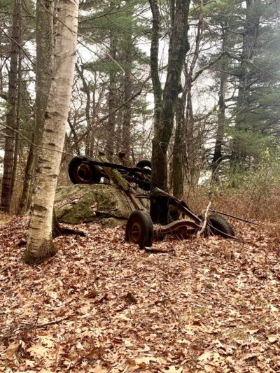 Yapp Farm Open Space - Dracut, MA