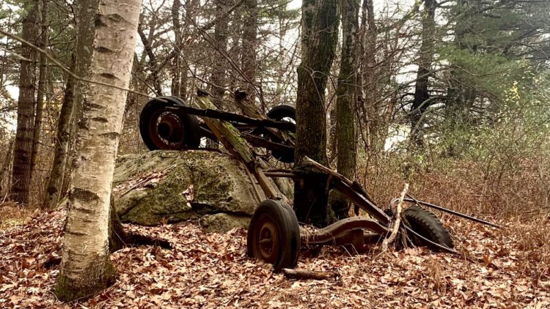 Yapp Farm Open Space - Dracut, MA