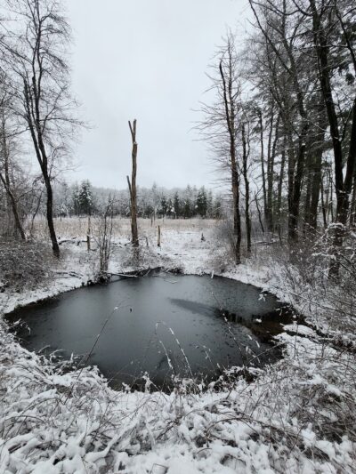 Yapp Farm Open Space - Dracut, MA