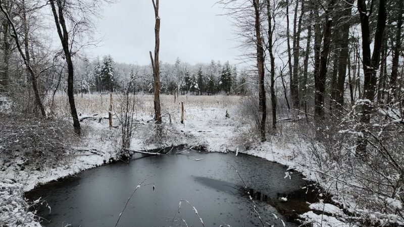 Yapp Farm Open Space - Dracut, MA