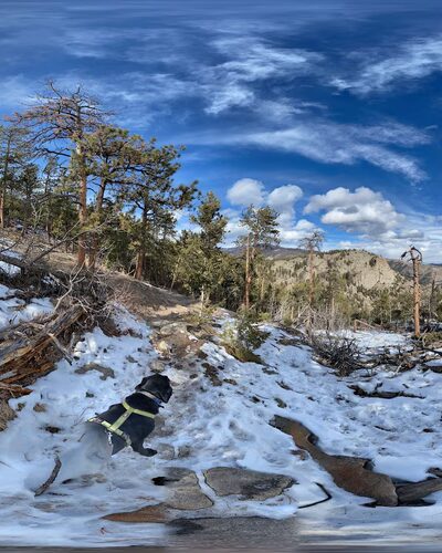 Crosier Mountain Garden Gate Trail - Drake, CO