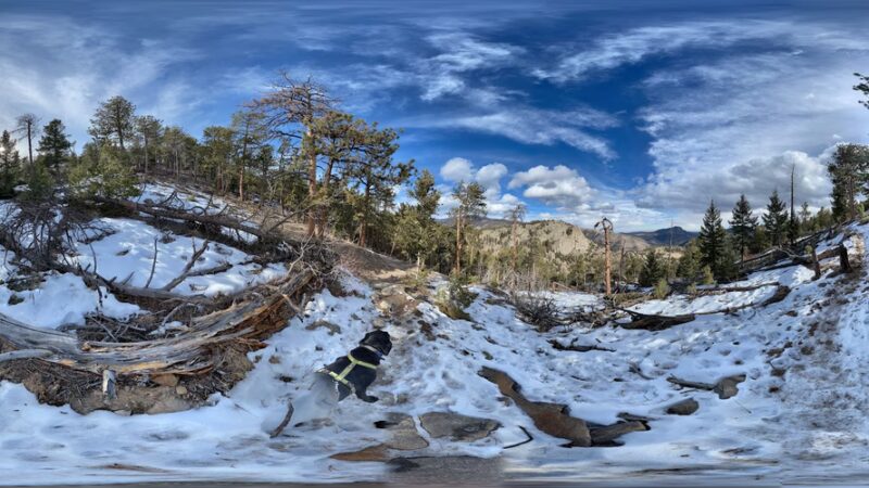 Crosier Mountain Garden Gate Trail - Drake, CO