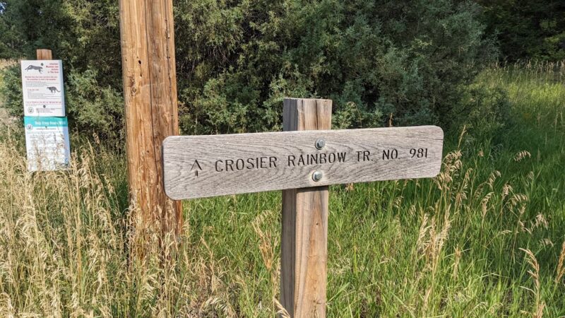 Crosier Mountain Rainbow Trailhead (#981) - Drake, CO