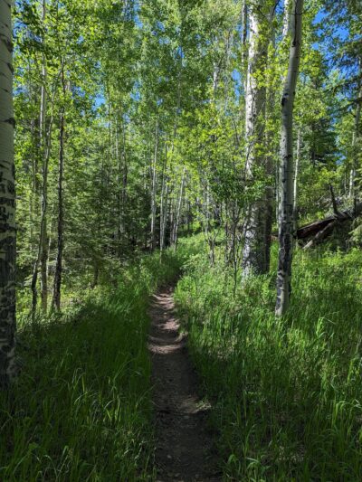 Crosier Mountain Rainbow Trailhead (#981) - Drake, CO