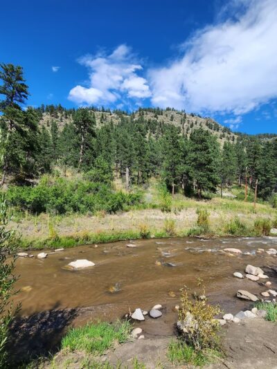 Drake Campground - Drake, CO