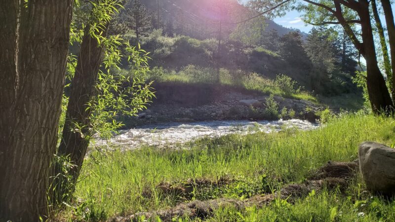Drake Campground - Drake, CO