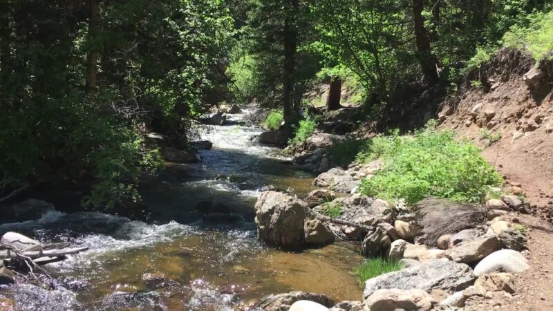 Dunraven Trailhead - Drake, CO