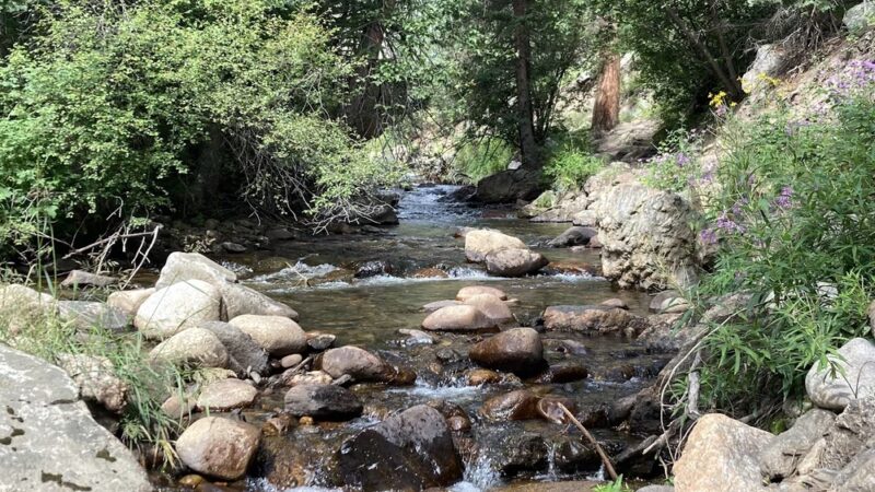Dunraven Trailhead - Drake, CO