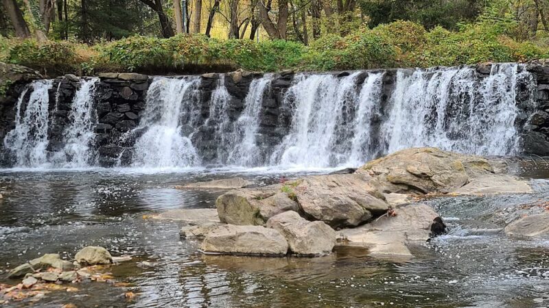 Darby Creek Trail Drexel Hill - Drexel Hill, PA