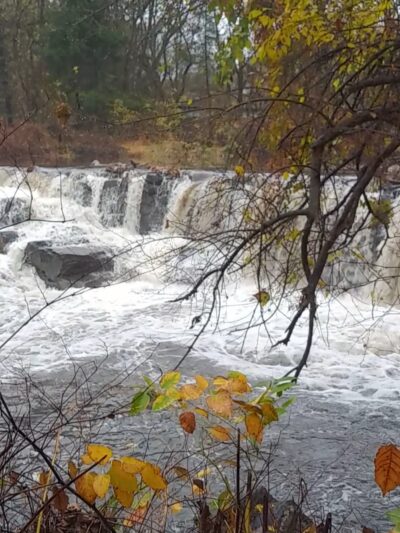 Darby Creek Trail Drexel Hill - Drexel Hill, PA