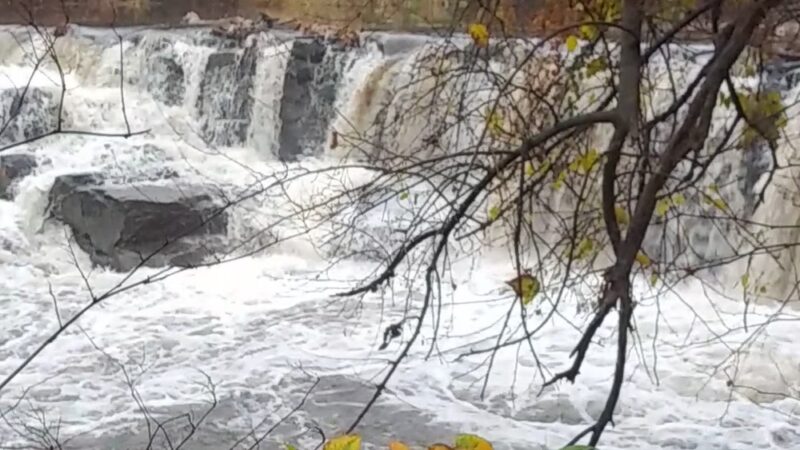 Darby Creek Trail Drexel Hill - Drexel Hill, PA