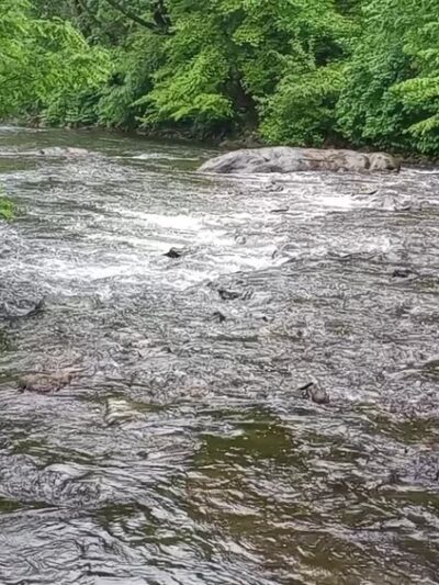 Darby Creek Trail Drexel Hill - Drexel Hill, PA