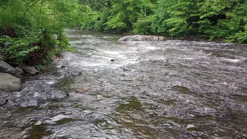 Darby Creek Trail Drexel Hill - Drexel Hill, PA