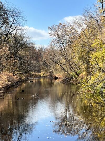 Darby Creek Trail Drexel Hill - Drexel Hill, PA