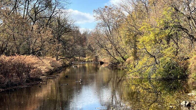 Darby Creek Trail Drexel Hill - Drexel Hill, PA
