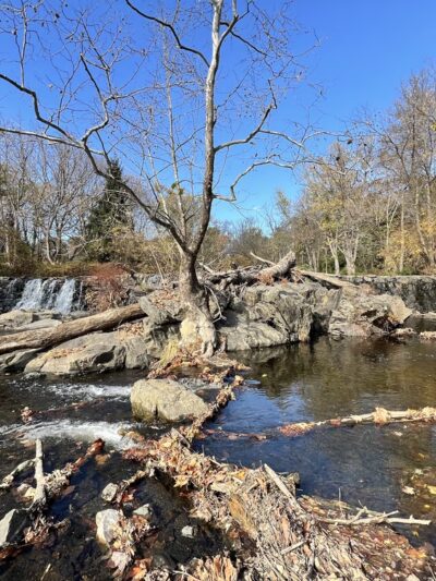 Darby Creek Trail Drexel Hill - Drexel Hill, PA