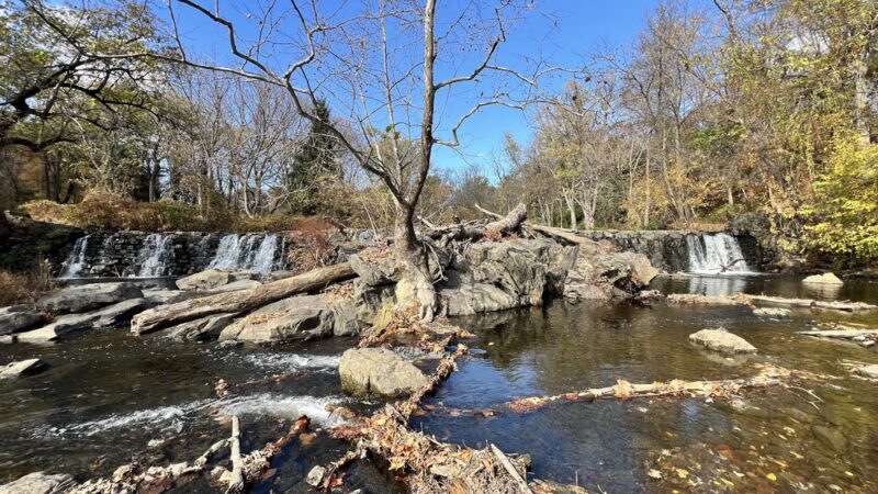 Darby Creek Trail Drexel Hill - Drexel Hill, PA