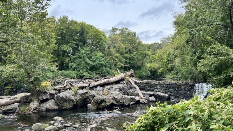 Oakview Falls - Drexel Hill, PA