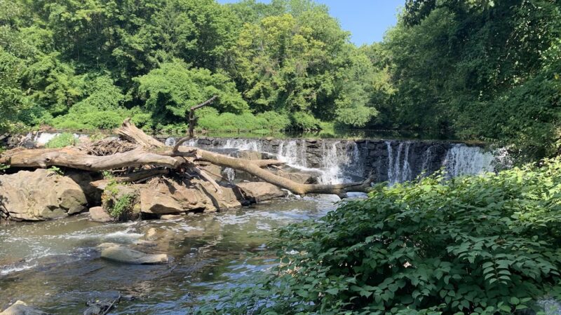 Oakview Falls - Drexel Hill, PA